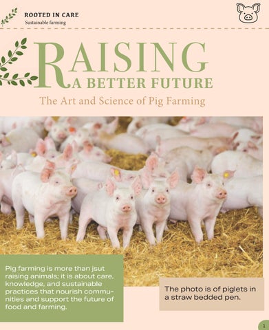 JOUR 390 Magazine