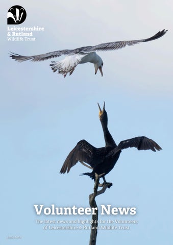 LRWT Volunteer Newsletter June 2026