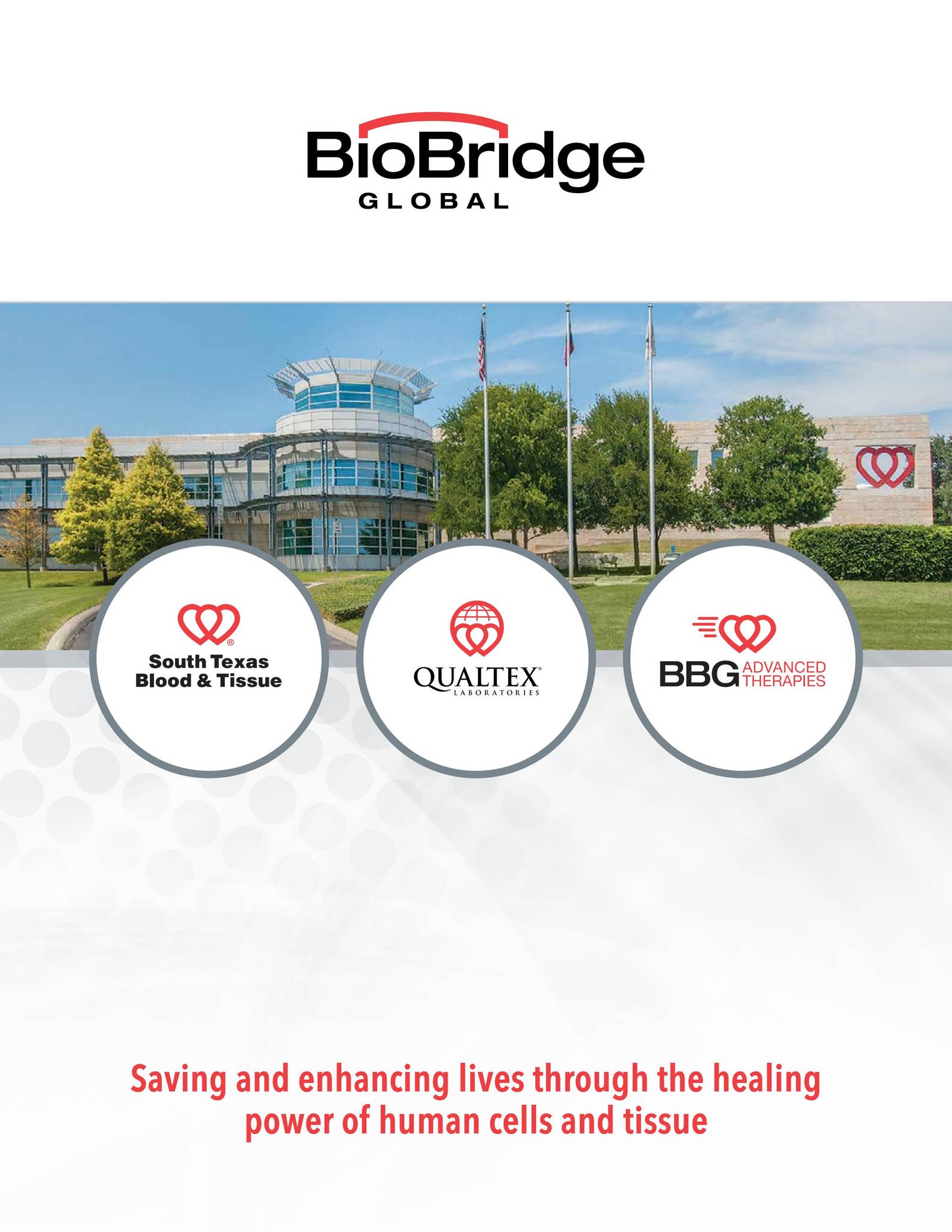 BioBridge Global Brochure by Connect for Life - Issuu