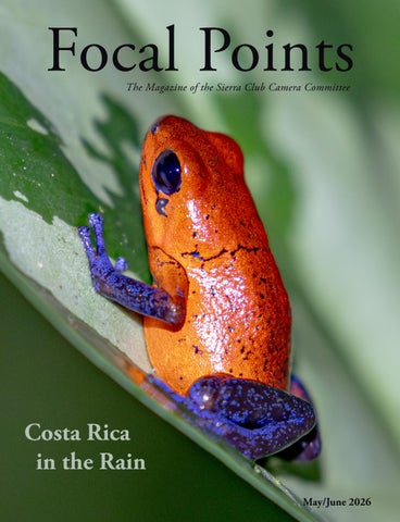 Focal Points May-June 2026