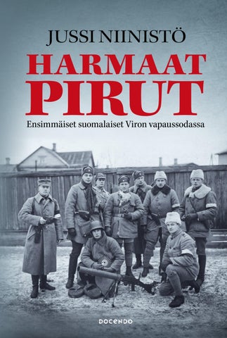 Niinistö, Jussi: Harmaat pirut (Docendo)
