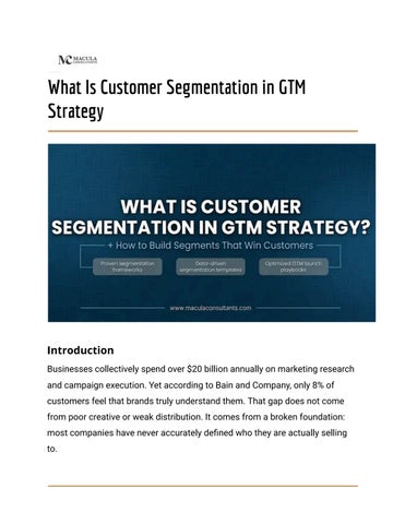 What Is Customer Segmentation in GTM Strategy