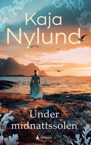 Under midnattssolen