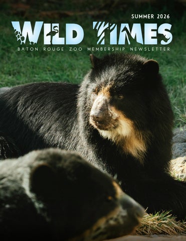 Wild Times - Summer 2026