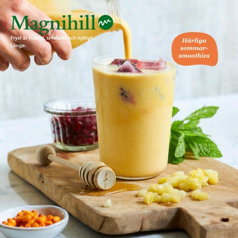 SMOOTHIES SE