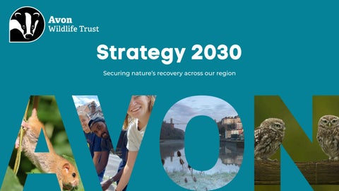 Avon Wildlife Trust Strategy 2030