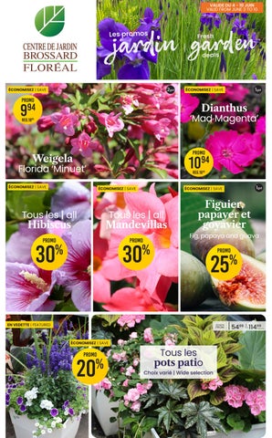 Circulaire Jardin | Promotions du 4 au 10 juin 2026