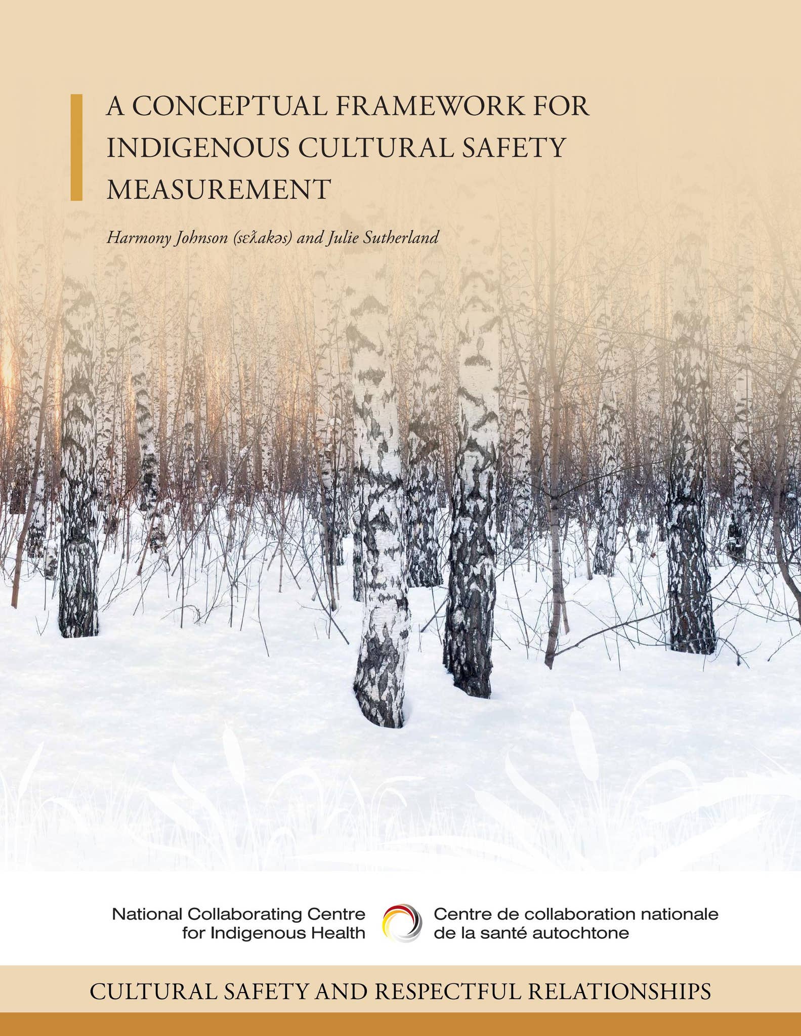 A conceptual framework for Indigenous cultural safety measurement by ...