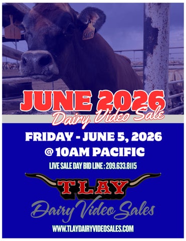 JUNE 2026 DVS 