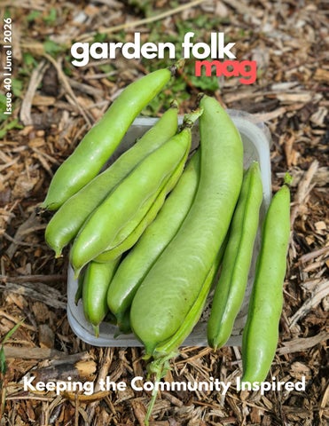 Issue 40 June 2026