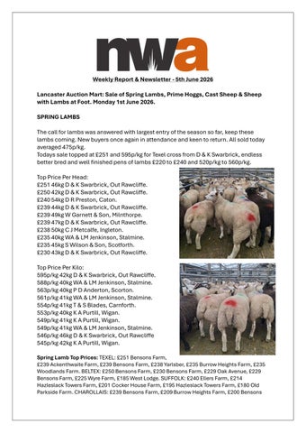 NWA Newsletter, 050626