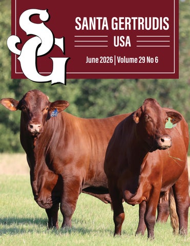 Santa Gertrudis USA June 2026