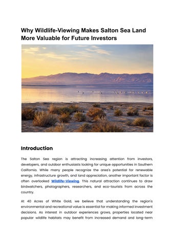 Why Wildlife-Viewing Makes Salton Sea Land More Valuable for Investors