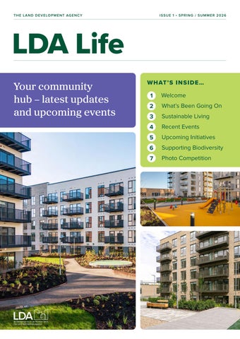 LDA Newsletter Issue 1