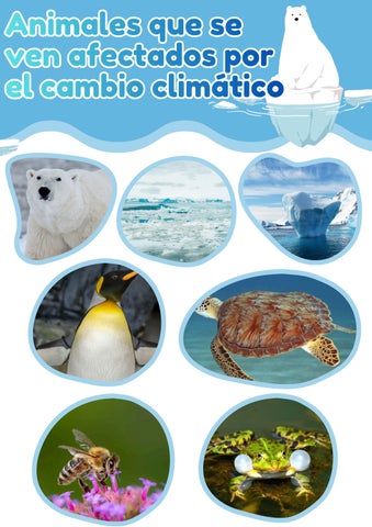 PROYECTO DE ESTUDIOS SOCIALES