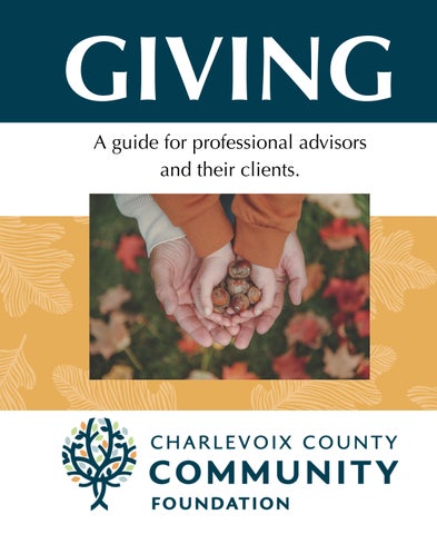 Charlevoix County Community Foundation Professional Advisor
