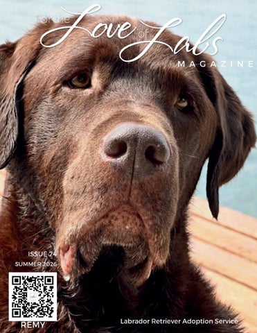 For the Love of Labs, #24, Summer 2026
