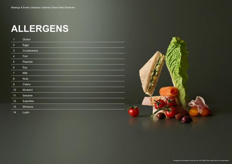 Radisson 家具产品集 Strand 酒店 , Stockholm - Good Food - English 第 23 页