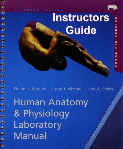 Instructor Guide Human Anatomy & Physiology Laboratory Manual 11th Edition By Elaine Marieb, Susan M