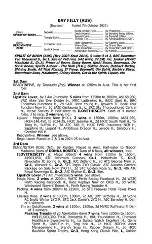Lionrock Yearling Pedigrees 2026