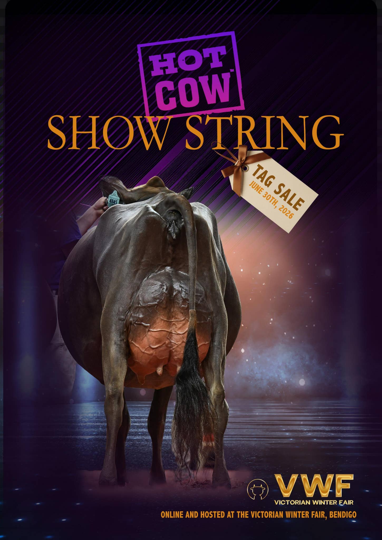 Hot Cow Show String Tag Sale by signaturegraphics24 - Issuu