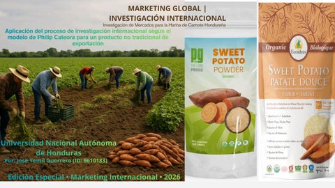 Revista Canva