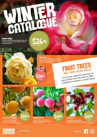 Serenity Garden Centre Winter Catalogue 2026