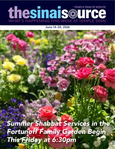 The Sinai Source June 14-20, 2026