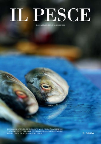 Il Pesce 3-2026
