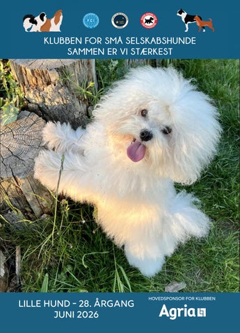 Lille Hund nr. 2 Juni 2026