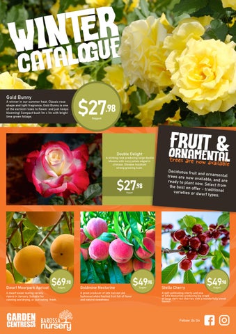 Barossa Nursery - Winter Catalogue - 2026