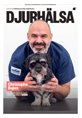 Djurhälsa
