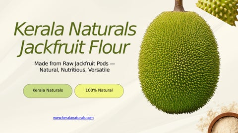 Jackfruit Flour Product PPT