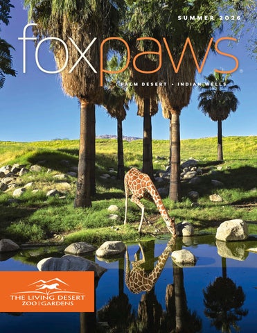 Summer 2026 FoxPaws Magazine 