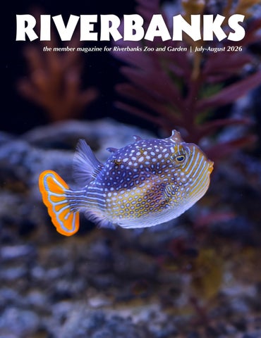 Riverbanks Member Magazine July-August 2026