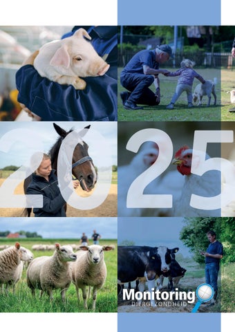 Jaarverslag Monitoring 2025