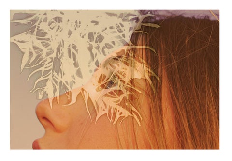 Pippa 第 5 页