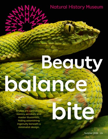 Natural History Museum Magazine: Summer 2026