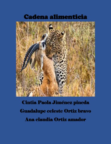 cadena alimenticia