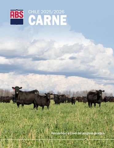 Catálogo Carne Chile