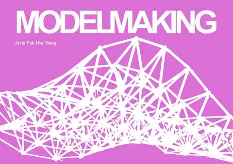Alvin Tsang Portfolio - Model Making
