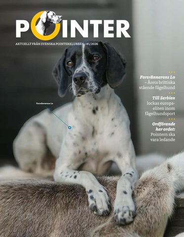 Pointer #1/2026