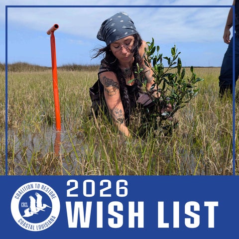 2026 CRCL Birthday Wish List