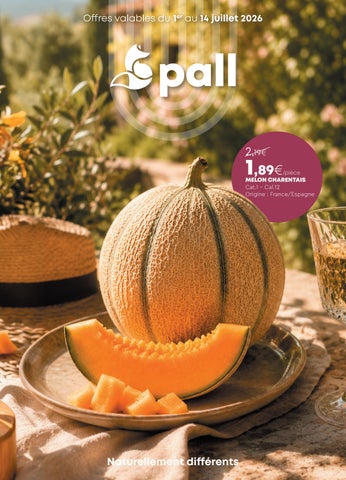  FOLDER - ETE__PALL