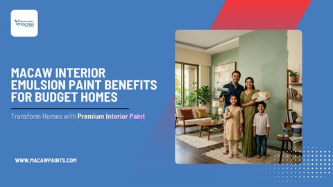 Why Macaw Interior Emulsion Paint Is Perfect for Budget Homes