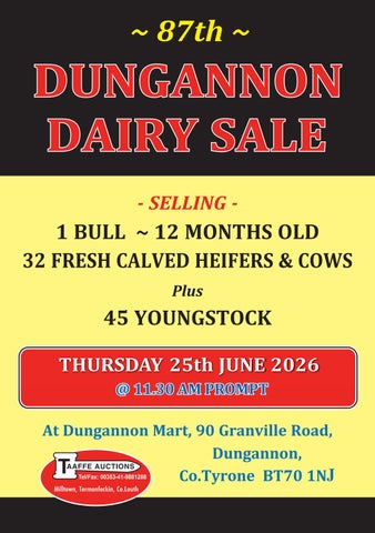 THE 87th DUNGANNON DAIRY SALE