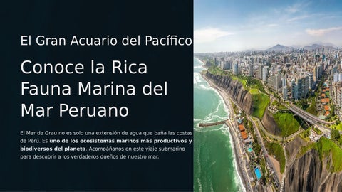 Conoce la Rica Fauna Marina del Mar Peruano