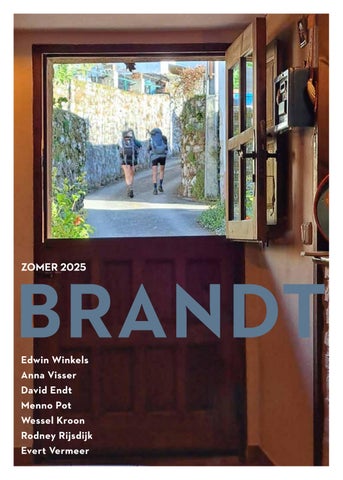Zomer 2025 aanbieding Brandt