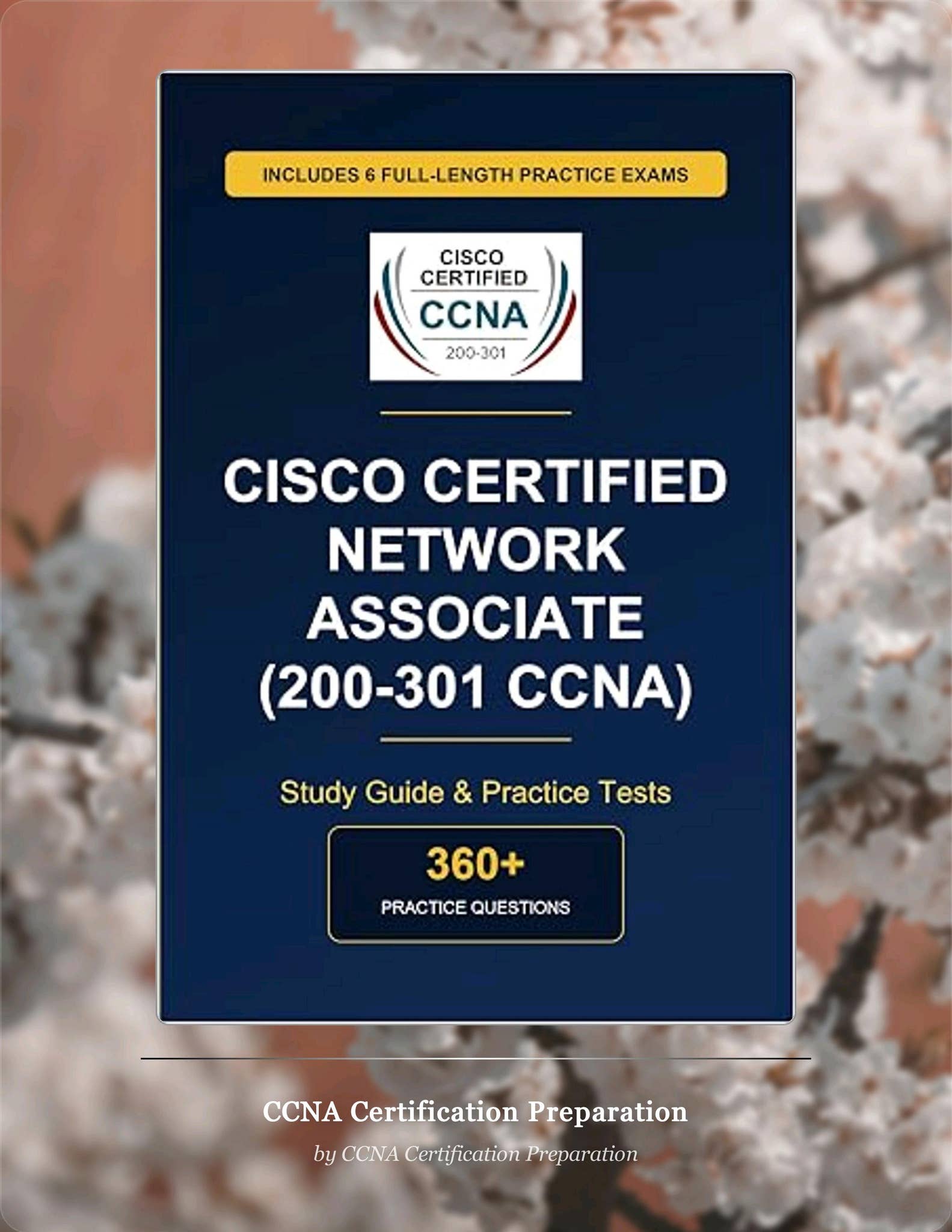 [PDF) CCNA Certification Preparation by CCNA Certification Preparation ...