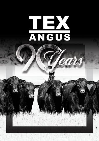 TEX ANGUS 2026